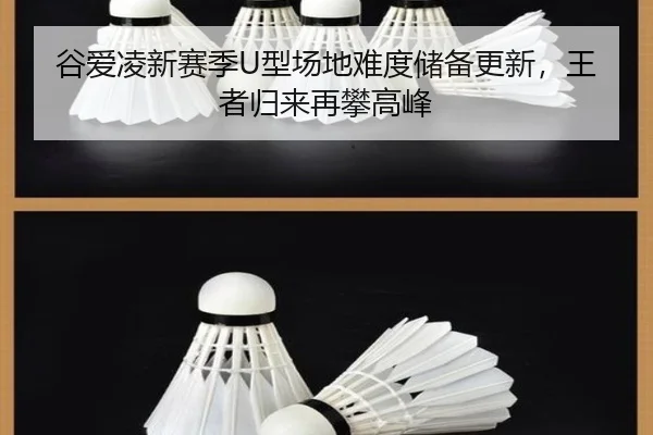gu-ai-ling-xin-sai-ji-xing-chang-di-nan-du-chu-bei-geng-xin-wang-zhe-gui-lai-zai-pan-gao-feng-2-806.jpg