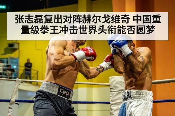 张志磊复出对阵赫尔戈维奇 中国重量级拳王冲击世界头衔能否圆梦